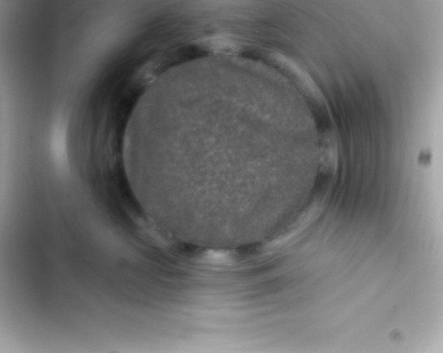 X0000103320573200809192143