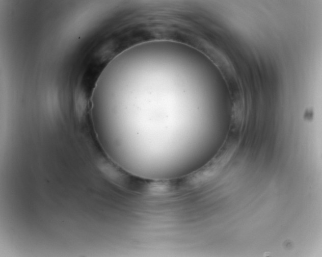 X0000103320574200809192143