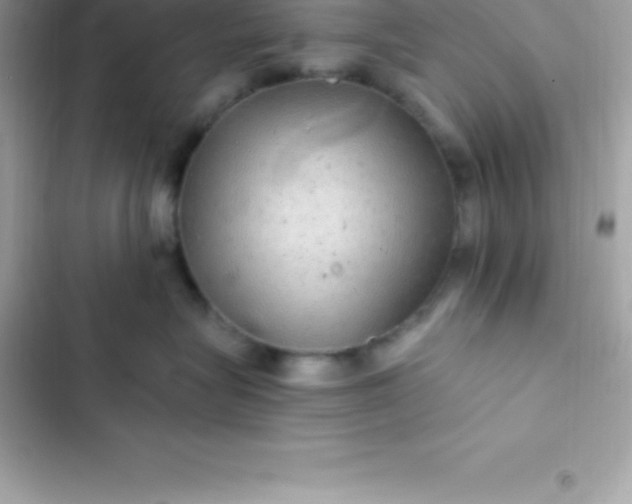 X0000103320575200809192143