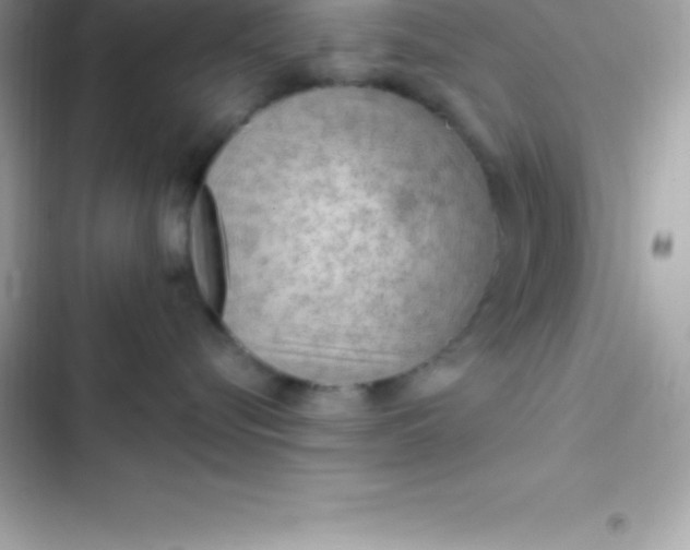 X0000103320576200809192143