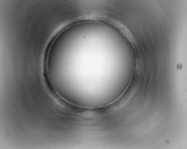 X0000103320578200809192142