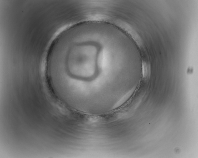 X0000103320579200809192142