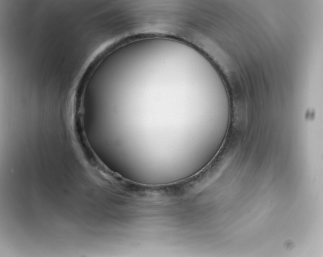 X0000103320580200809192142