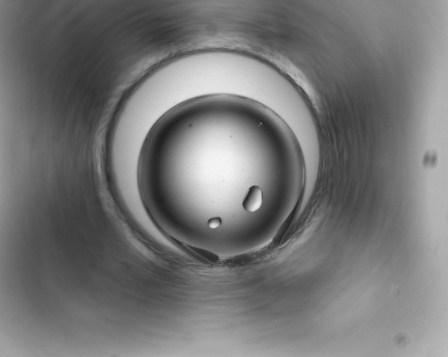 X0000103320581200809192142