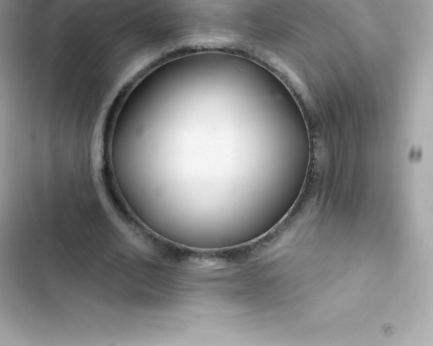 X0000103320582200809192142