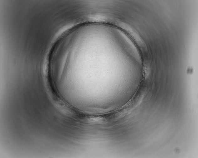 X0000103320583200809192142