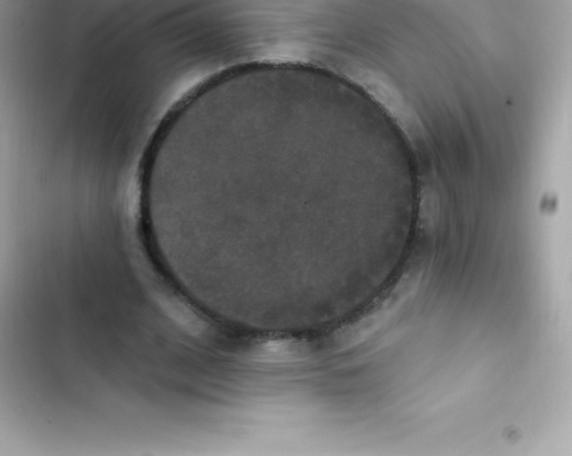 X0000103320584200809192142