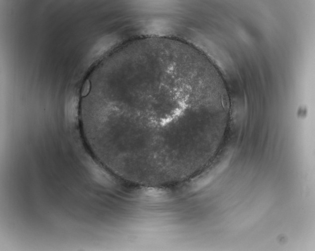 X0000103320585200809192142