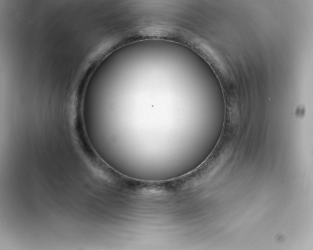 X0000103320586200809192142