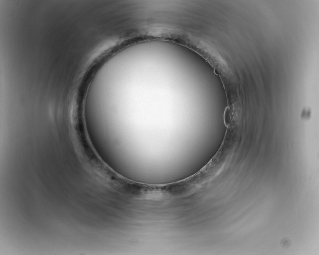 X0000103320587200809192142