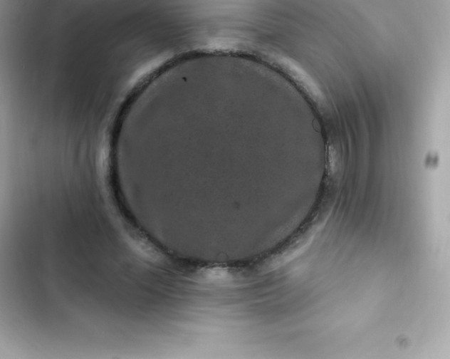 X0000103320588200809192142