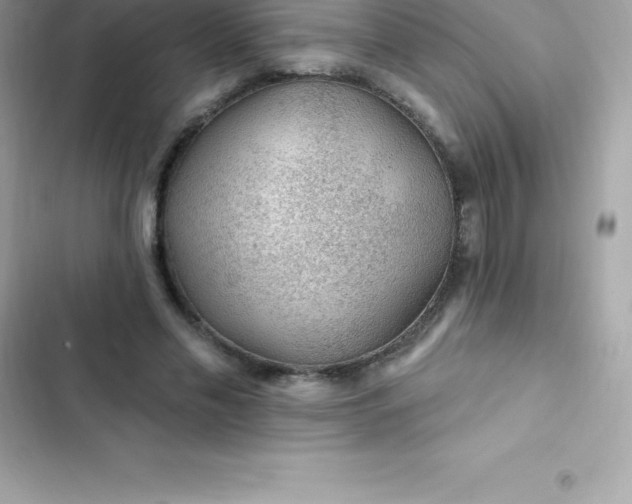 X0000103320589200809192142