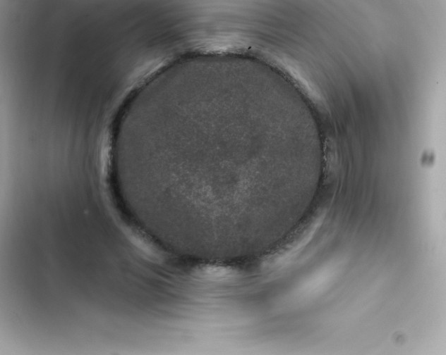 X0000103320590200809192142