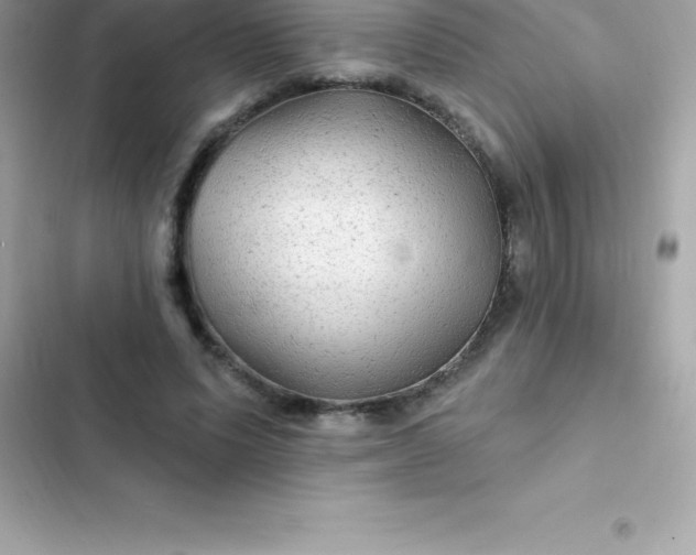 X0000103320591200809192142