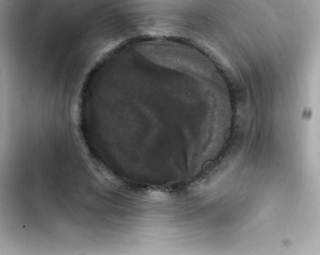 X0000103320592200809192142