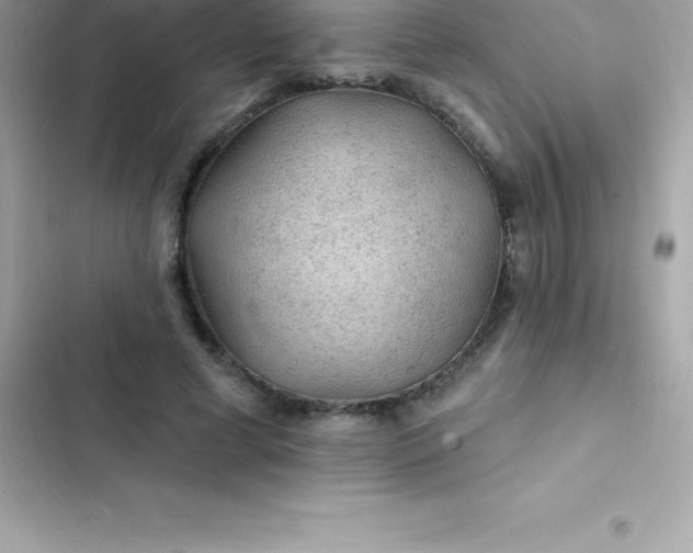 X0000103320593200809192142