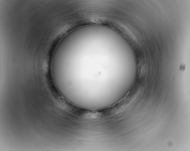 X0000103320595200809192142