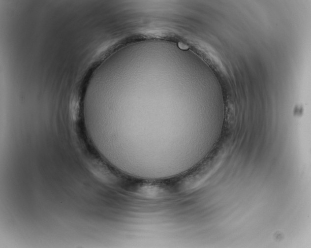 X0000103320596200809192142