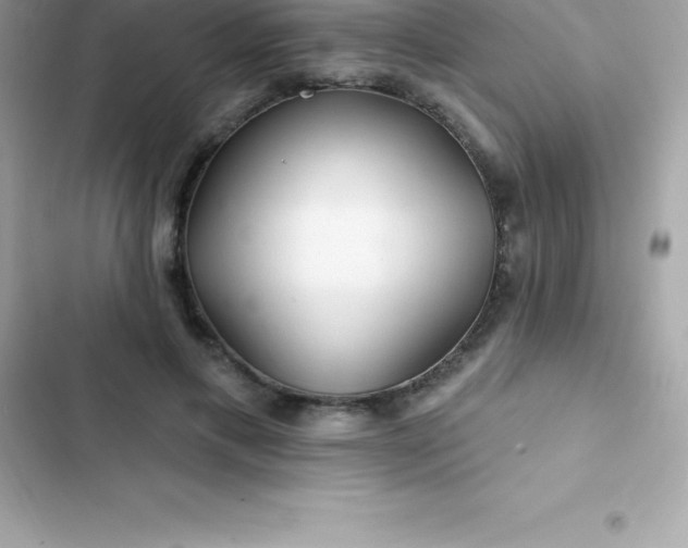 X0000103320597200809192142