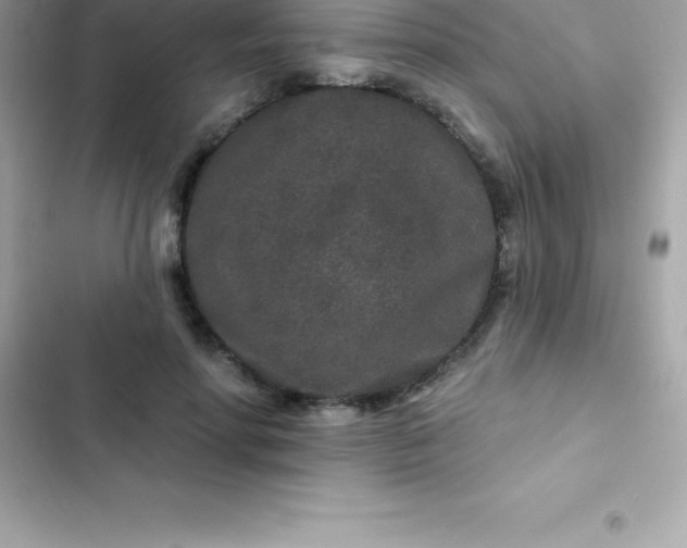 X0000103320598200809192142