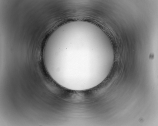 X0000103320599200809192142