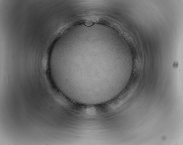 X0000103320600200809192142