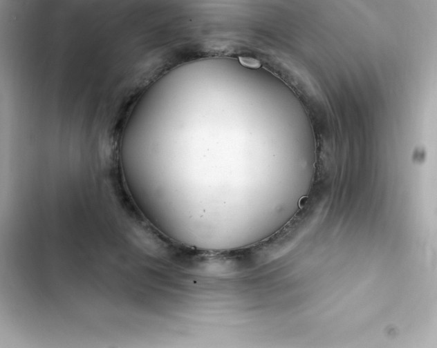 X0000103320601200809192142