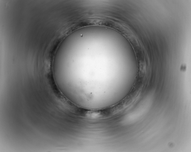 X0000103320602200809192142