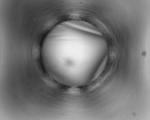 X0000103320603200809192142