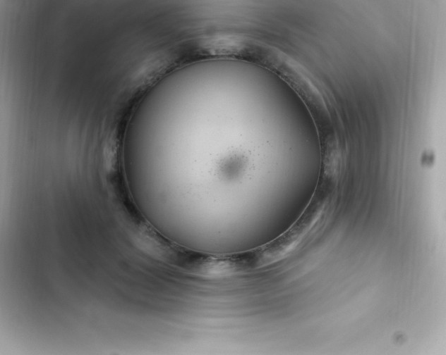 X0000103320604200809192142