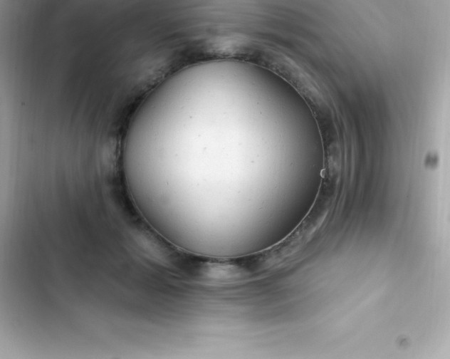 X0000103320605200809192142