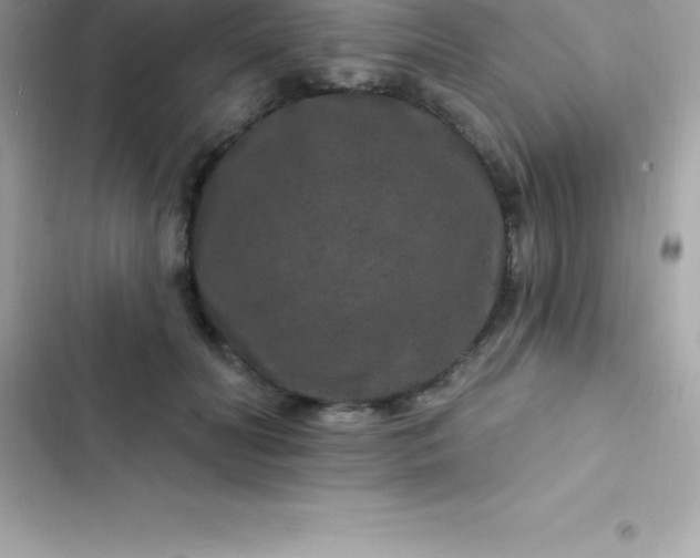 X0000103320606200809192142