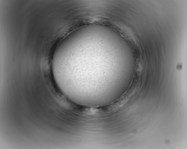 X0000103320607200809192142