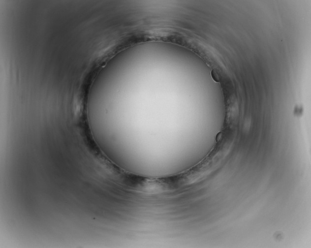 X0000103320608200809192142