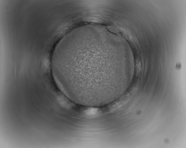 X0000103320609200809192142