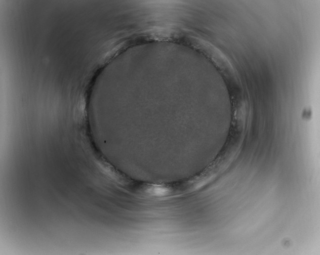 X0000103320610200809192142