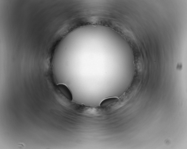 X0000103320611200809192142