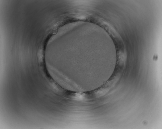 X0000103320612200809192142