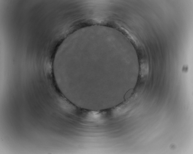 X0000103320613200809192142