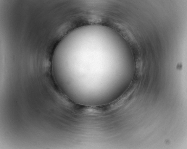 X0000103320614200809192142