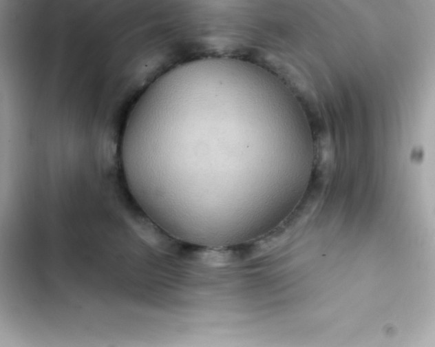 X0000103320615200809192142