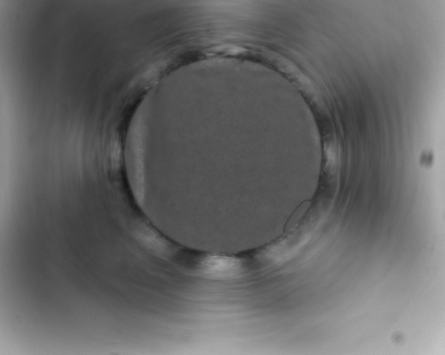 X0000103320617200809192142