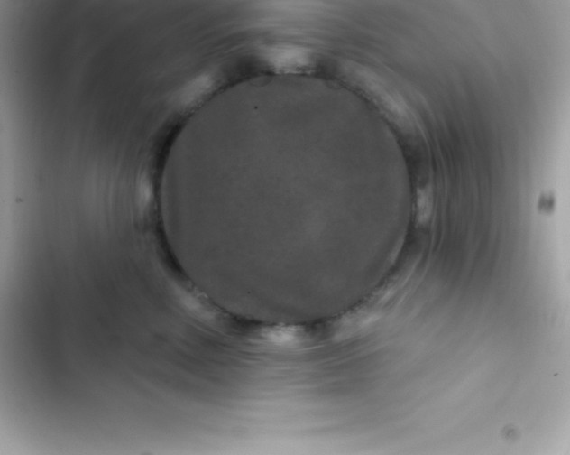 X0000103320618200809192142