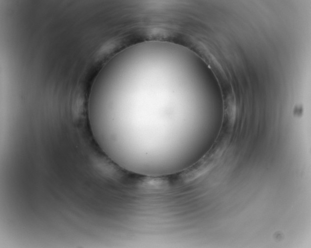 X0000103320619200809192142