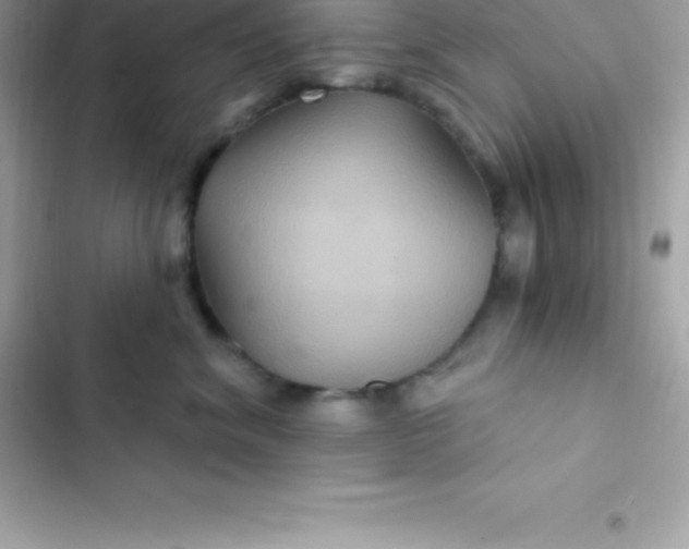 X0000103320620200809192142