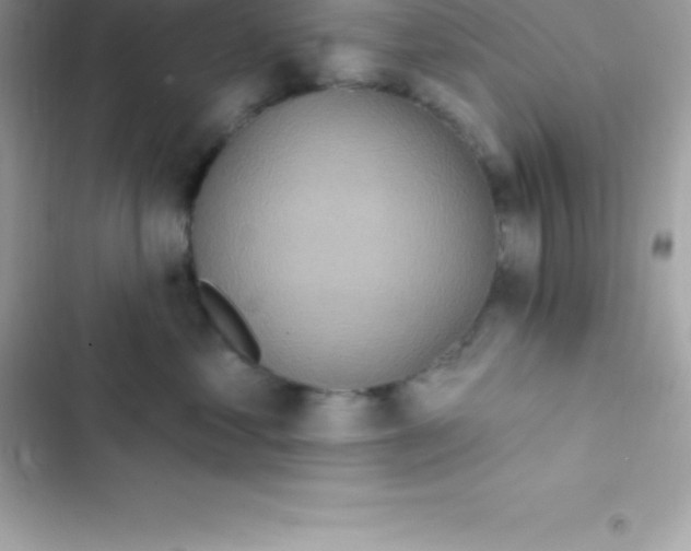 X0000103320621200809192142