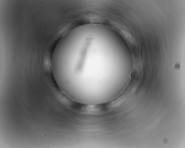 X0000103320622200809192142