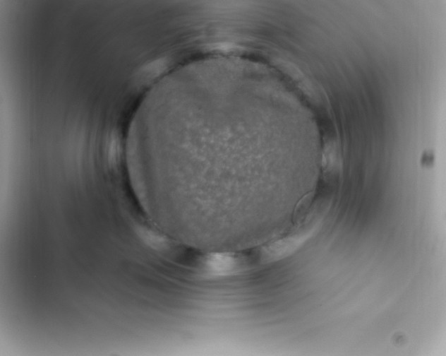 X0000103320623200809192142