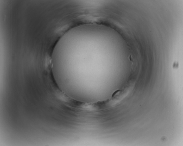 X0000103320624200809192142