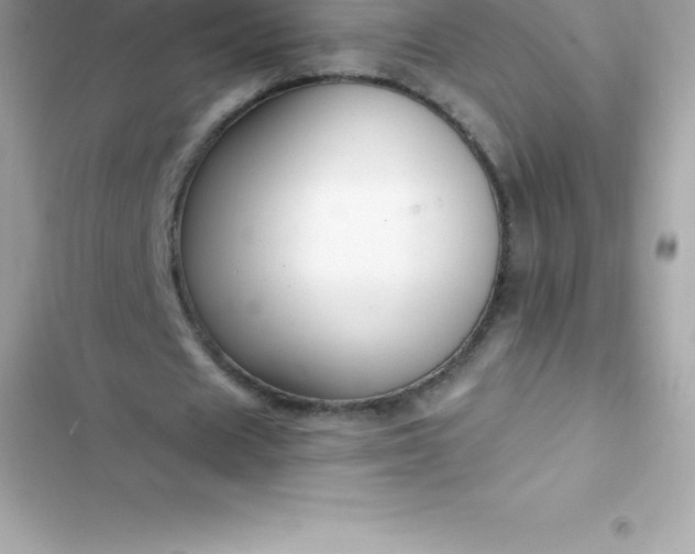 X0000103320625200809192141